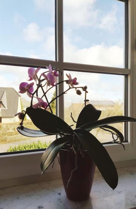 Ferienwohnung Nahe Der Ostsee Steinhagen  Luaran gambar